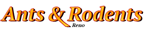 Reno Ant Exterminator & Rodent Control Company Logo